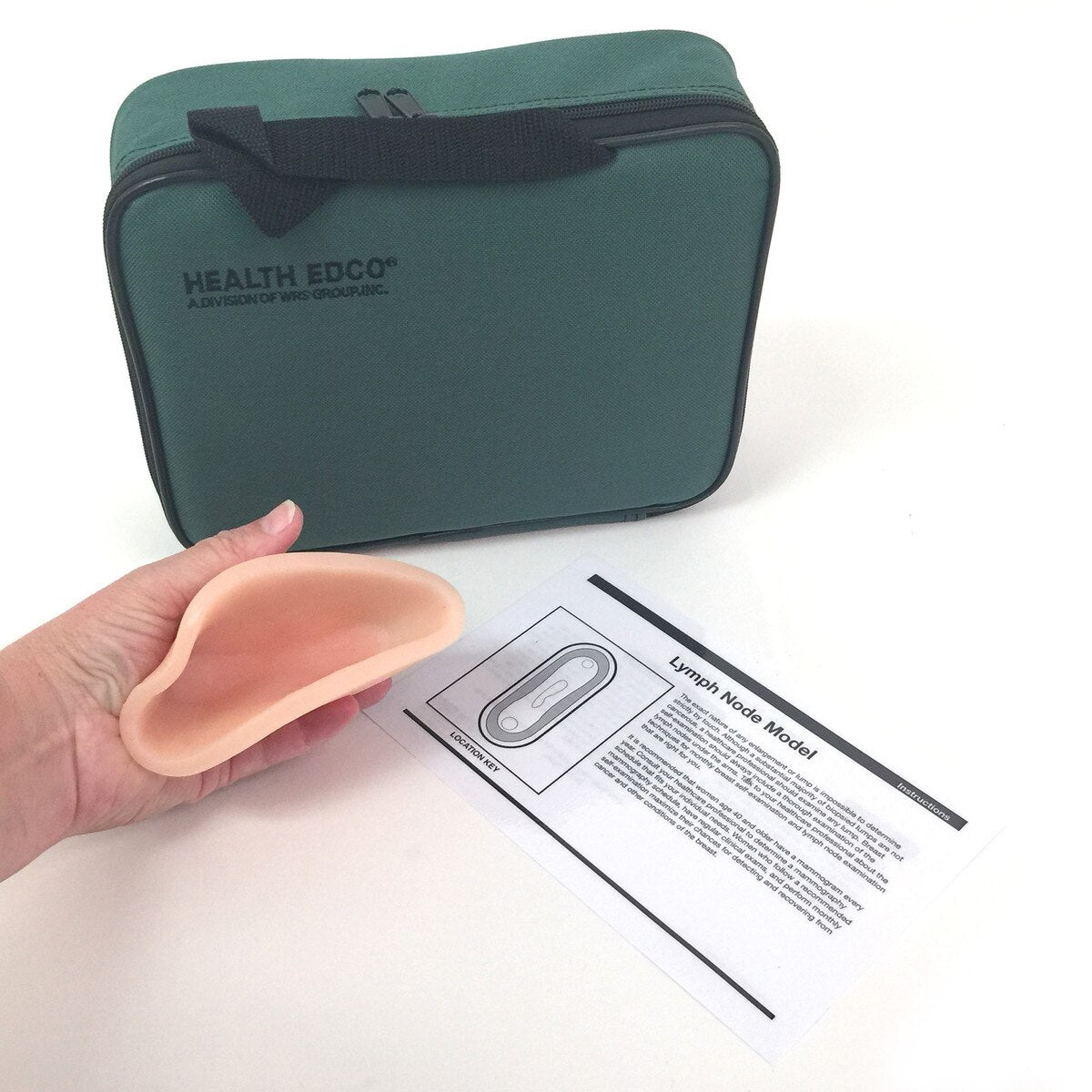 Axillary Lymph Node Model for Breast Self-Exam (BSE) Education-Teaching Aids-Birth Supplies Canada