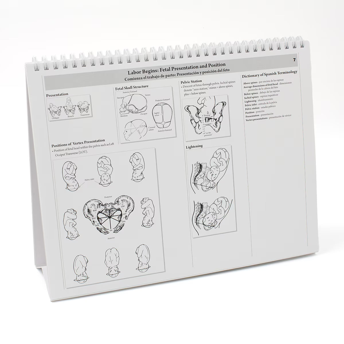 Childbearing: The Classic Series Desk Version Flip Chart