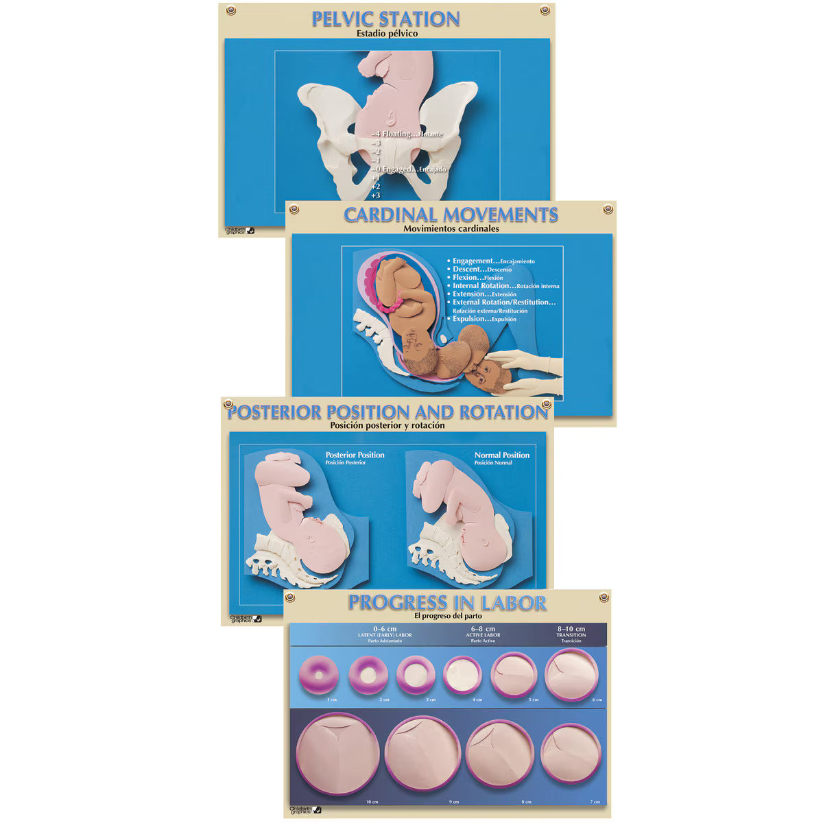 One-to-One Chart Set, Bilingual(4)