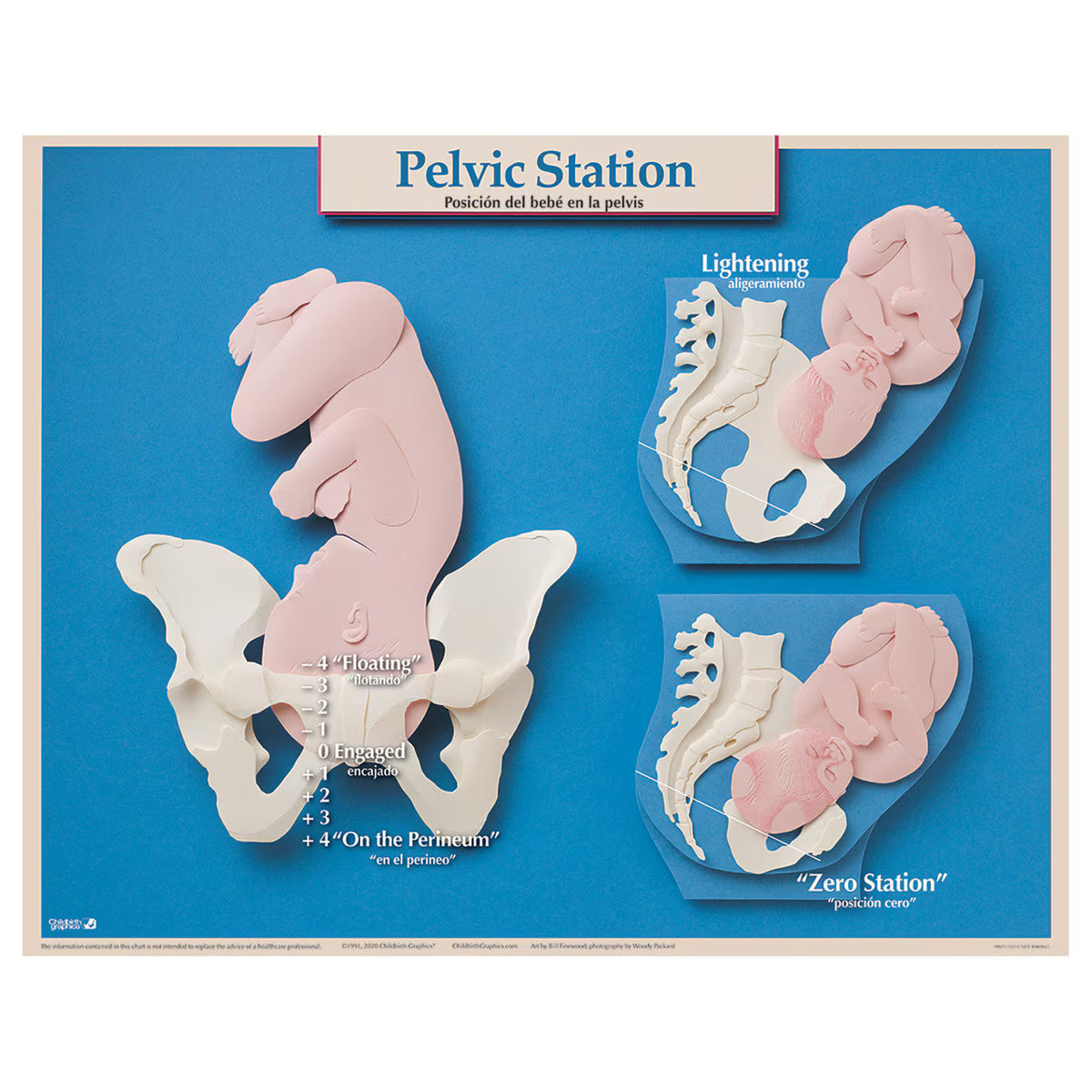 Six Essential Labor and Birth Charts (6), English/Spanish