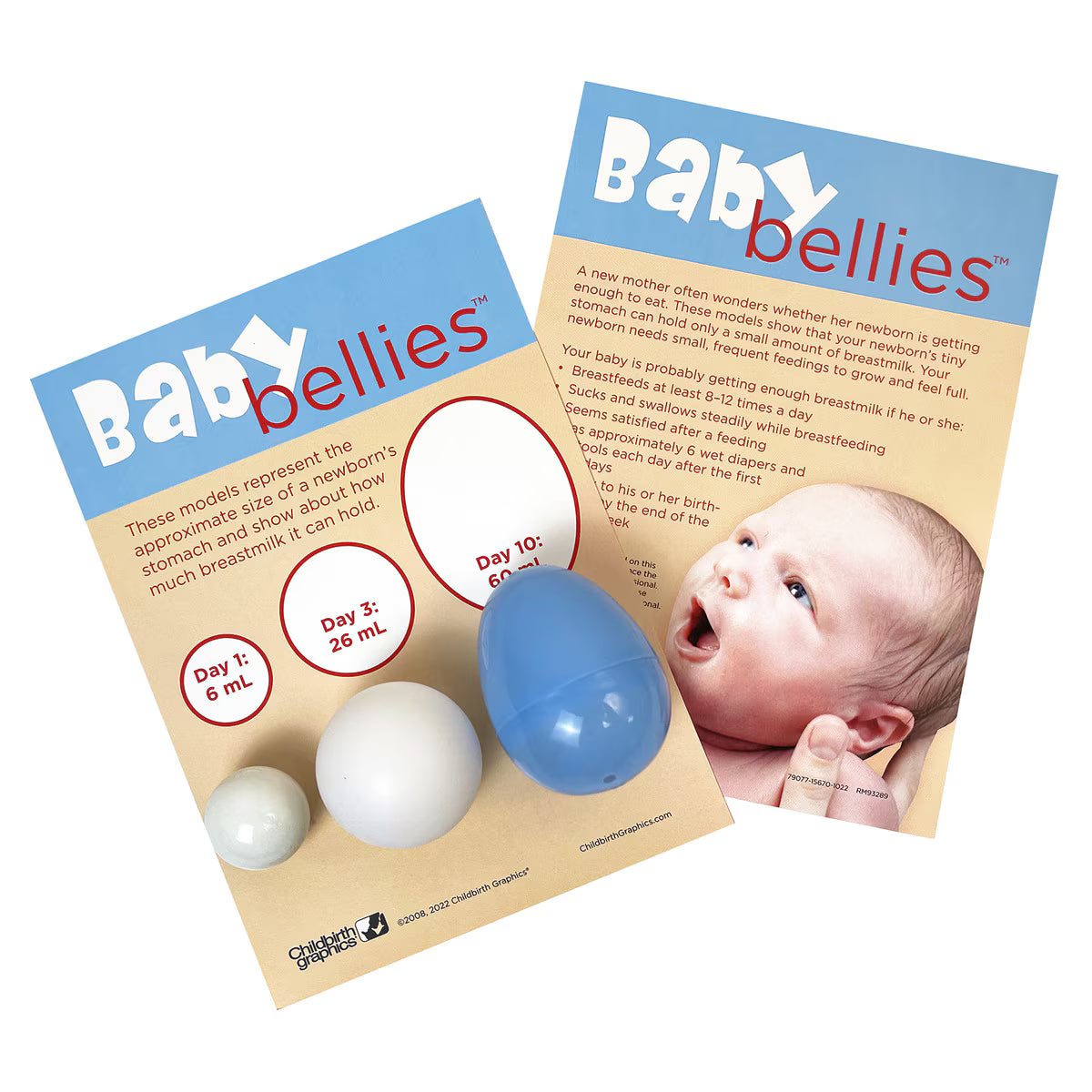 Baby Bellies Display-Teaching Aids-Birth Supplies Canada