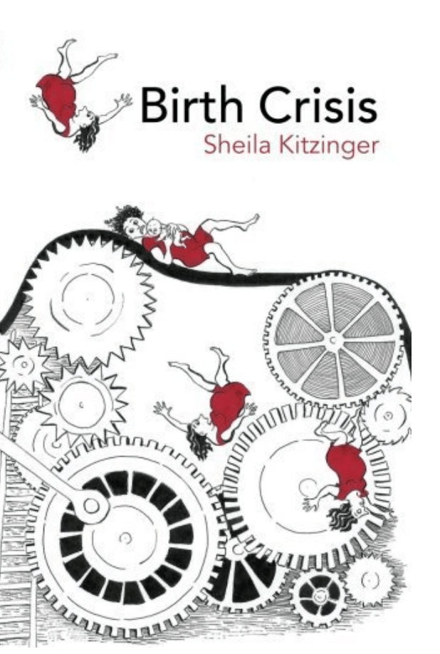 Birth Crisis - Used-Books & DVDs-Birth Supplies Canada