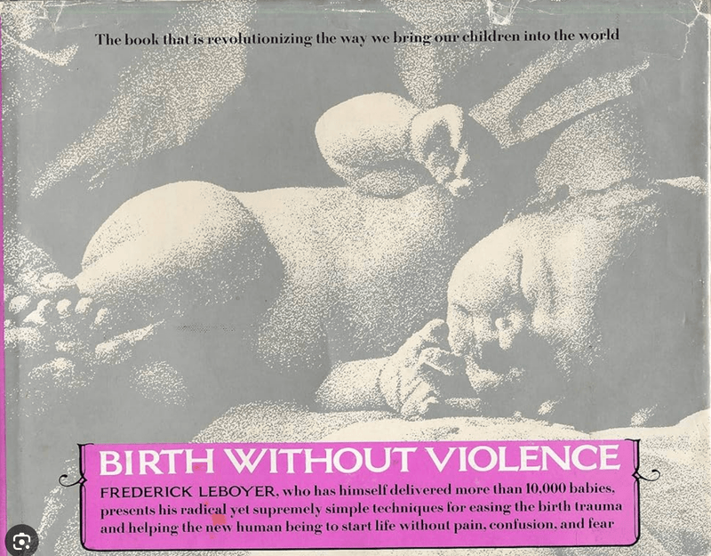 Birth without Violence - Used-Books & DVDs-Birth Supplies Canada