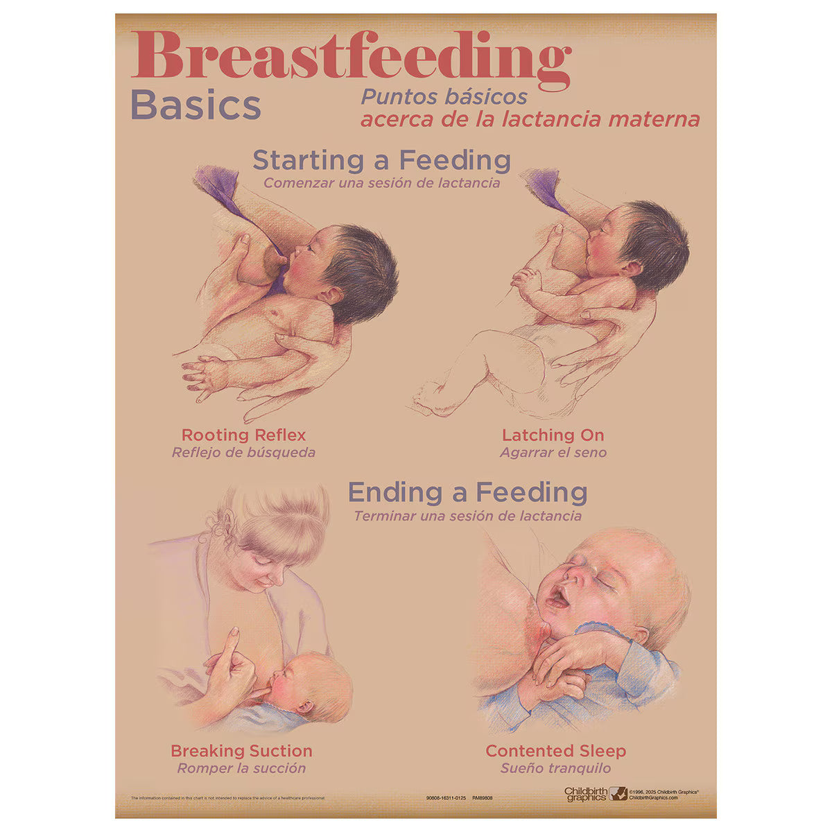 Breastfeeding Chart Set (8)-Teaching Aids-Birth Supplies Canada