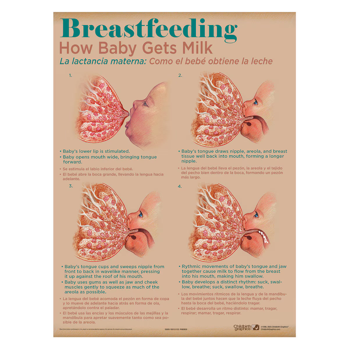 Breastfeeding Chart Set (8)-Teaching Aids-Birth Supplies Canada