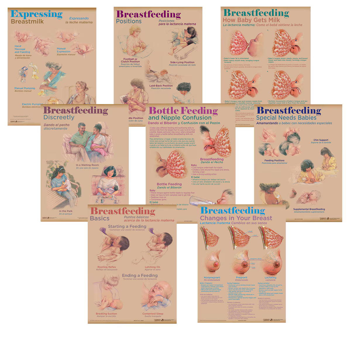 Breastfeeding Chart Set (8)-Teaching Aids-Birth Supplies Canada