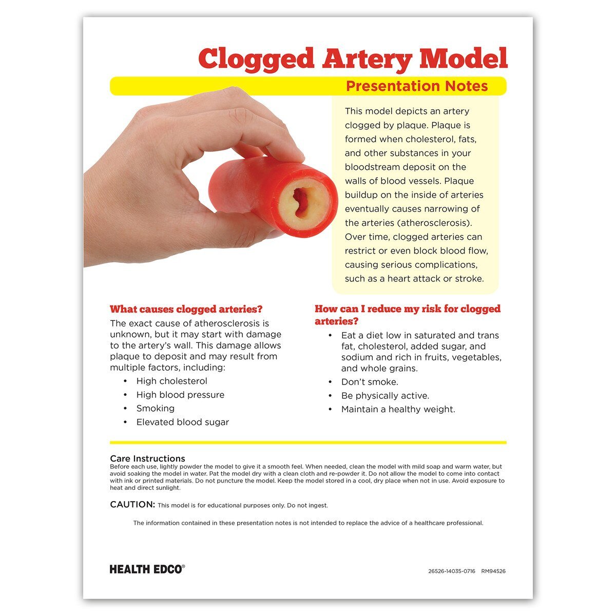 Clogged Artery Model-Teaching Aids-Birth Supplies Canada