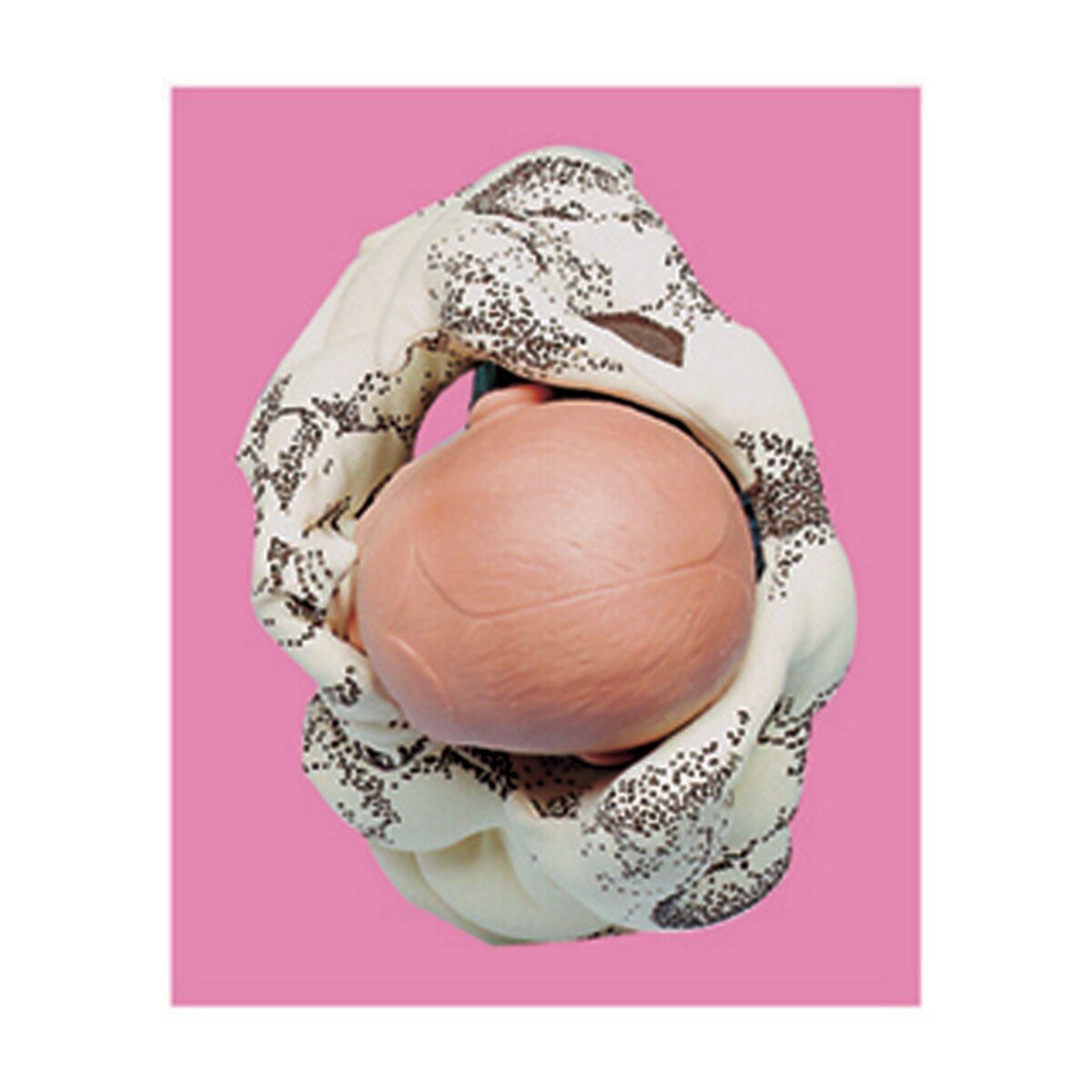 Cloth Pelvic Model-Birth Supplies Canada