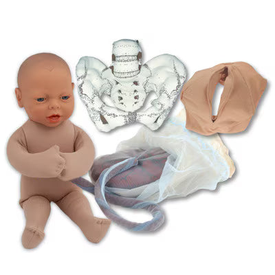 Cloth Pelvic Model Set With Fetal Model-Teaching Aids-Birth Supplies Canada