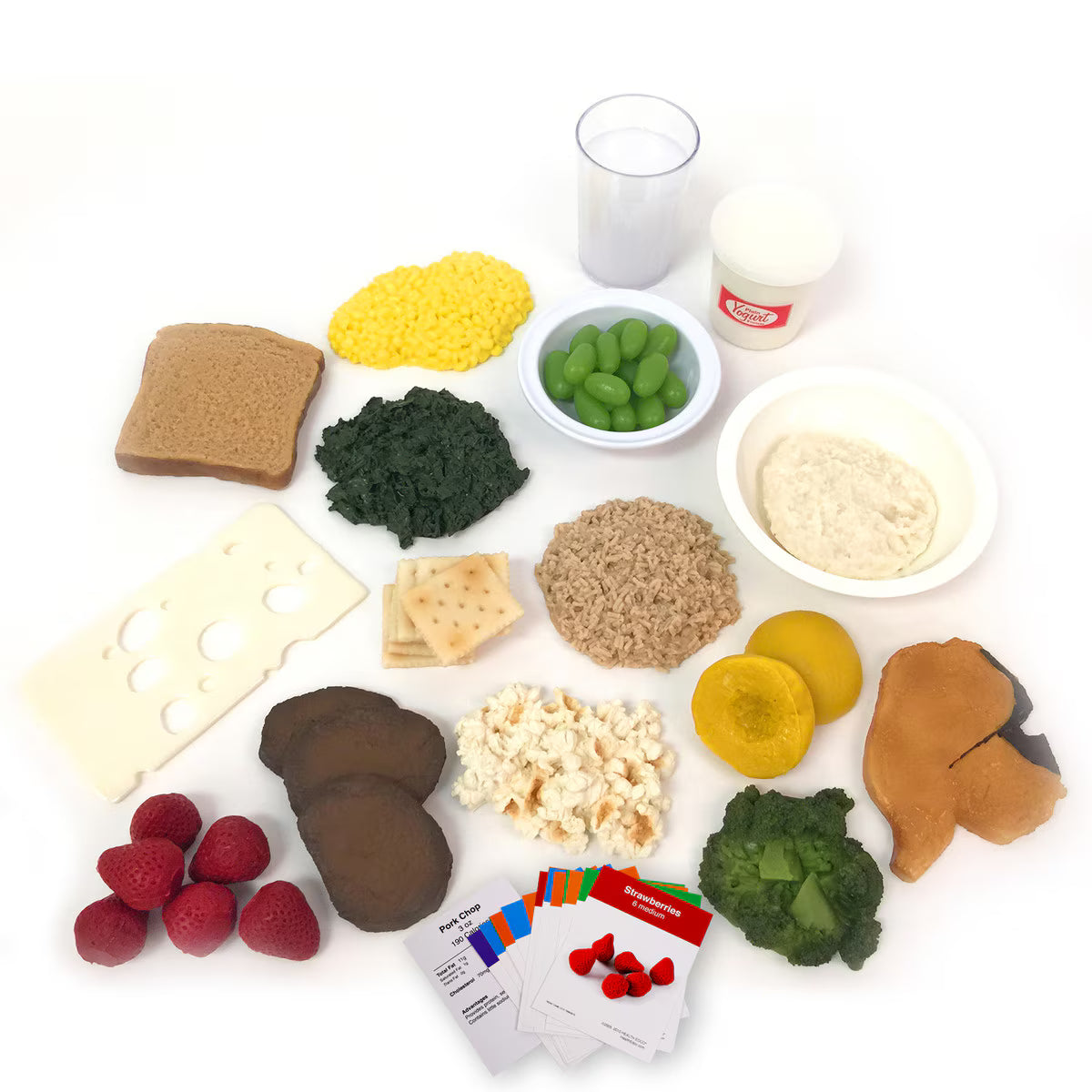 Faux Foods Nutrition During Pregnancy Package (16)-Teaching Aids-Birth Supplies Canada