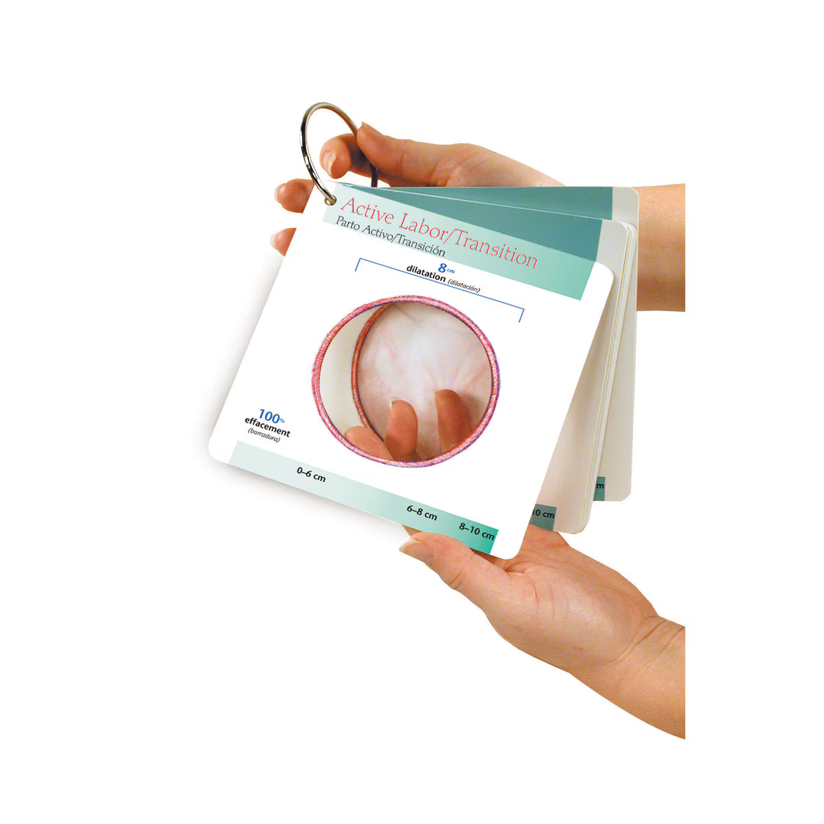 Labor Progress Pocket Guide-Teaching Aids-Birth Supplies Canada