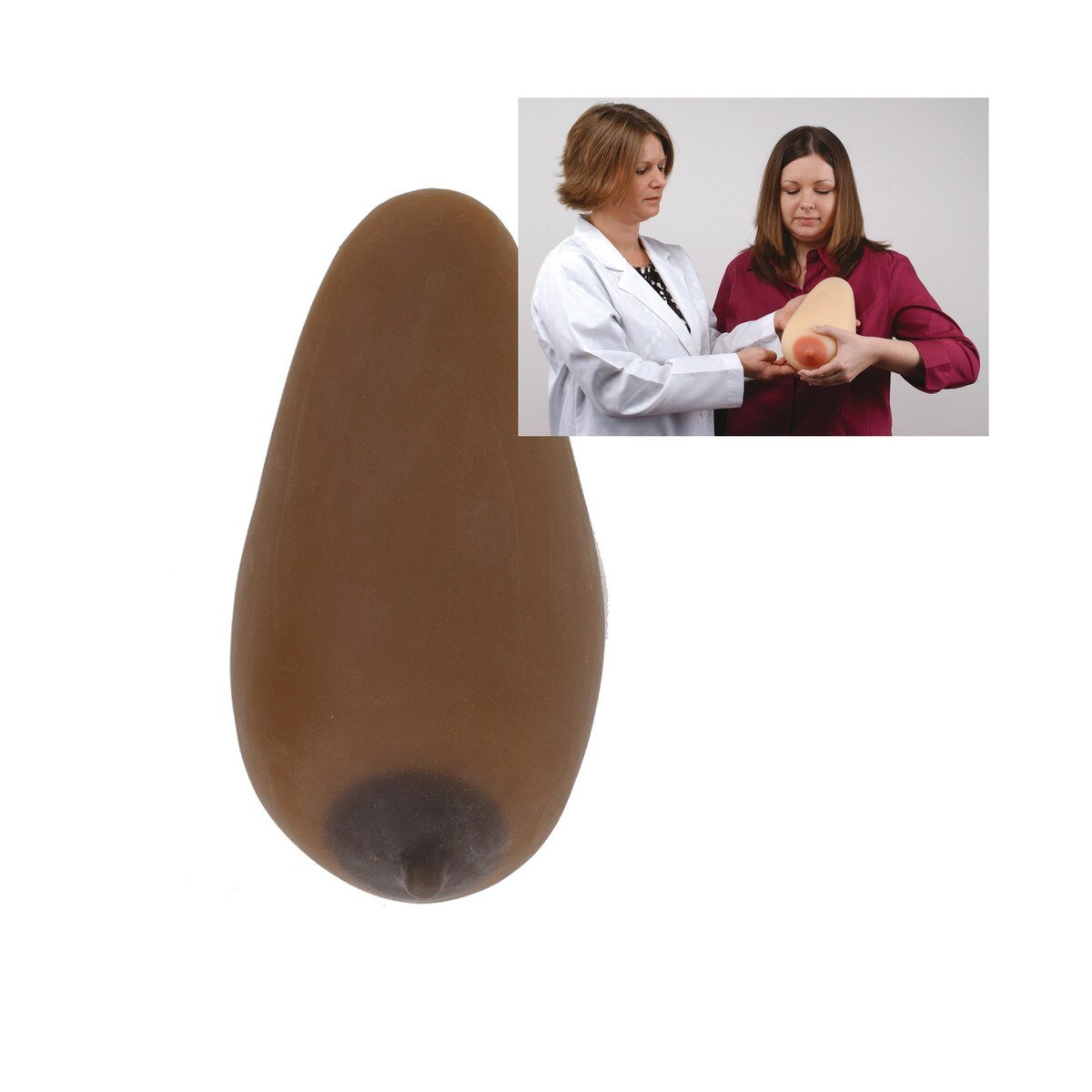 Lactation Model-Teaching Aids-Birth Supplies Canada