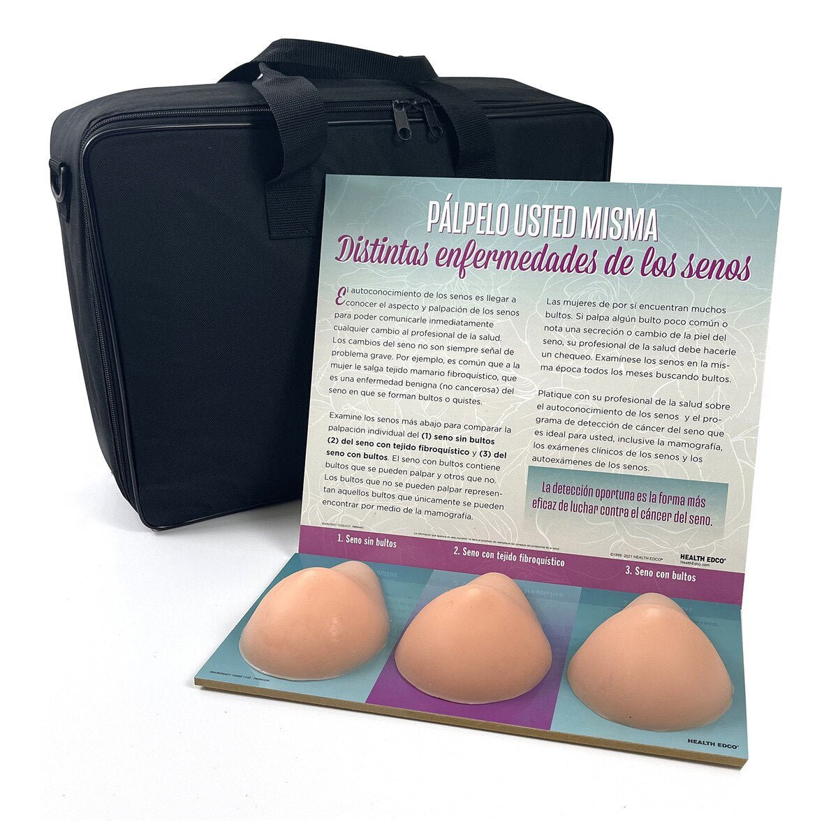 Multi-Type BSE Model Display, English/Spanish-Teaching Aids-Birth Supplies Canada