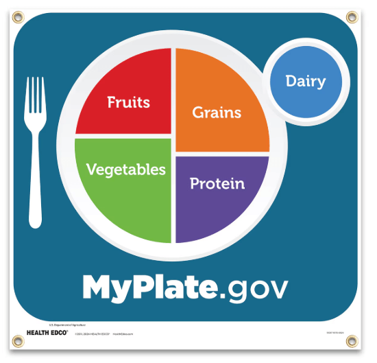 MyPlate Banner-TEACHING-Birth Supplies Canada