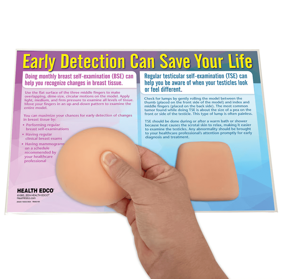 Nonsexual BSE/TSE Education Model | Breast & Testicular-Teaching Aids-Birth Supplies Canada
