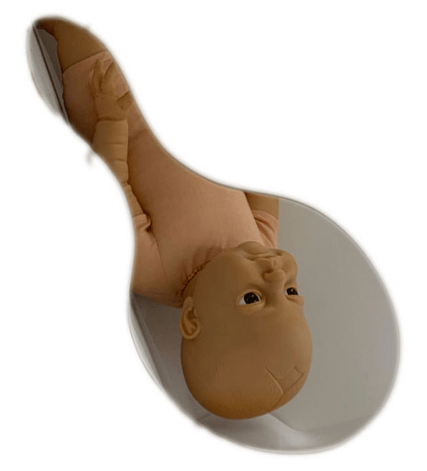 PBB Birthing Mirror-Waterbirth-Birth Supplies Canada