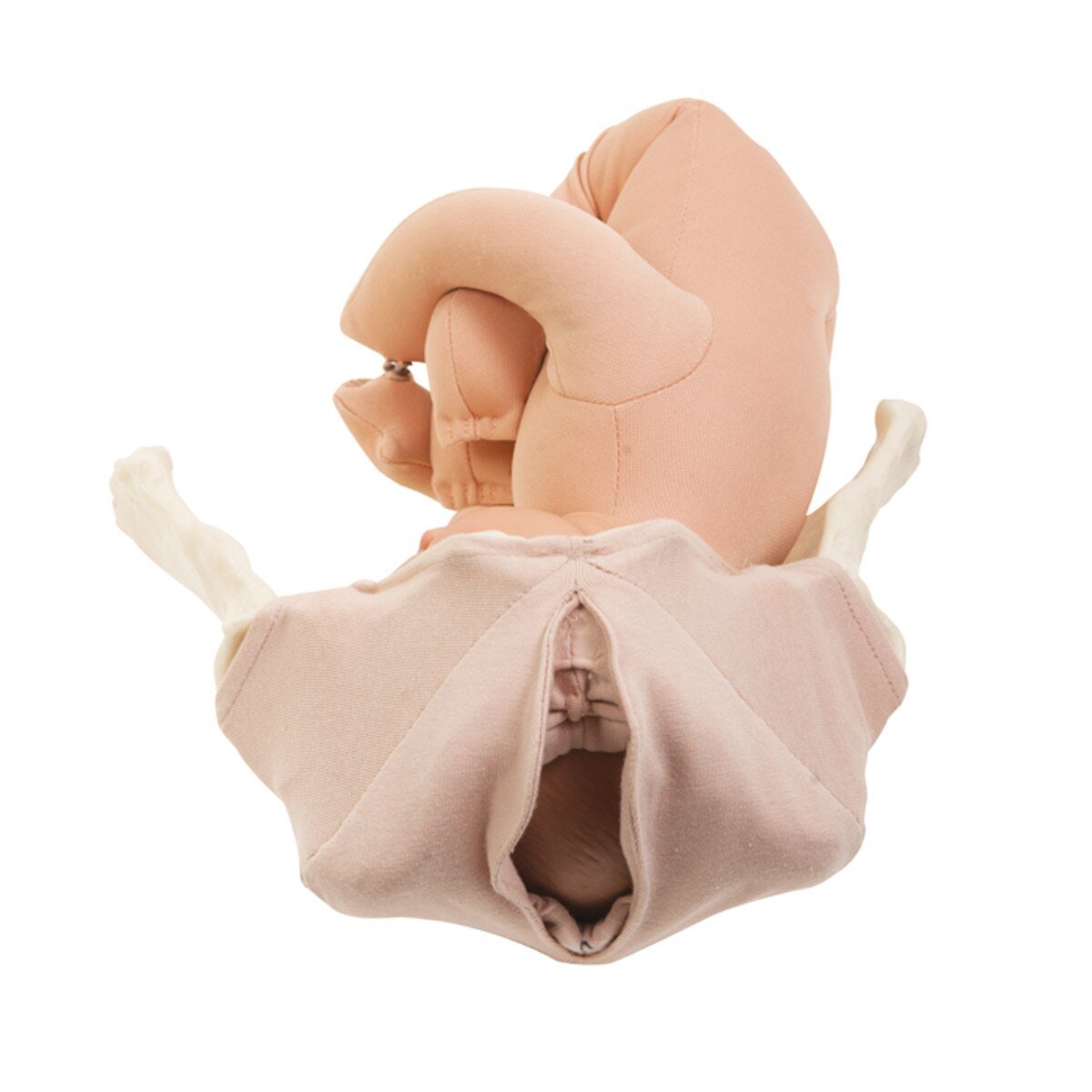 Perineal Cloth Model-Teaching Aids-Birth Supplies Canada