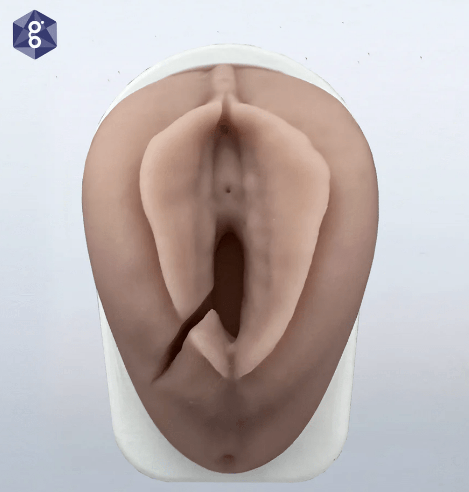 Perineum Injury Suturing Model-Teaching Aids-Birth Supplies Canada