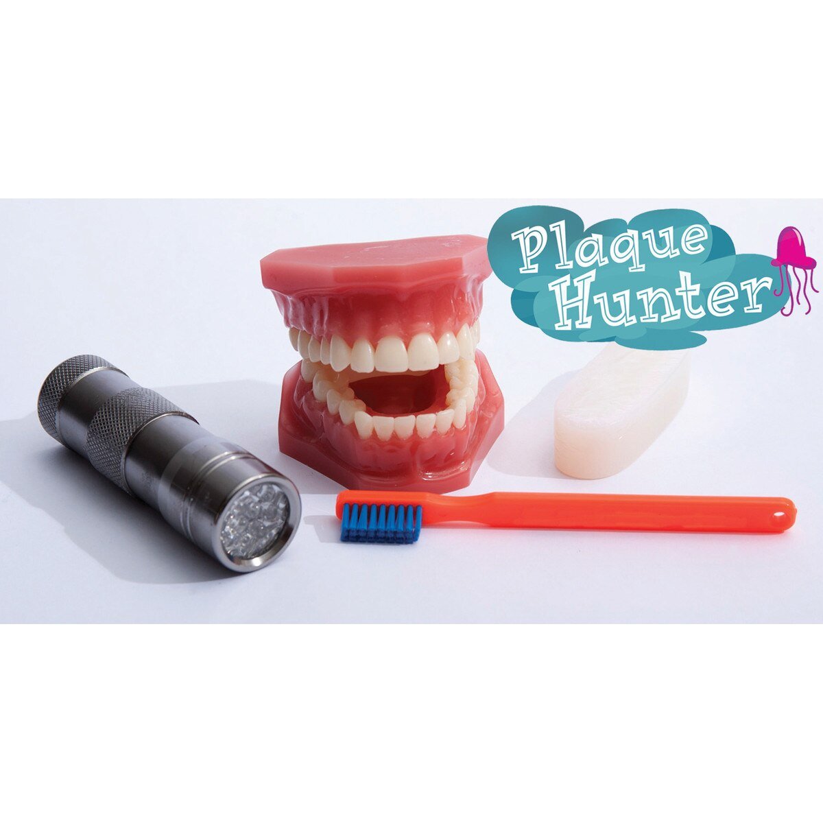 Plaque Hunter Demonstration Model-Teaching Aids-Birth Supplies Canada