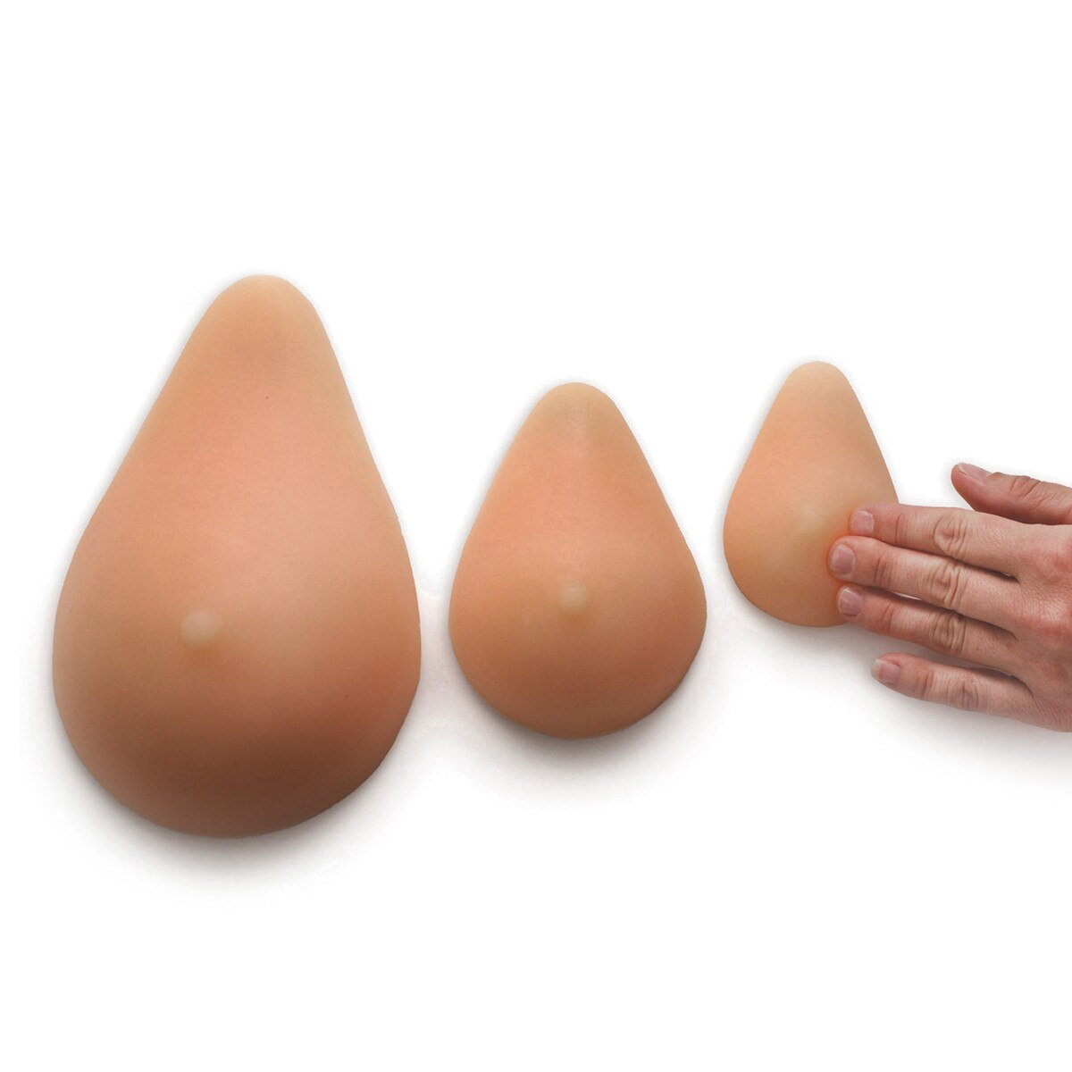 Set of 3 ABC Cup Size BSE Training Models | BIOLIKE Lifelike Material-Teaching Aids-Birth Supplies Canada