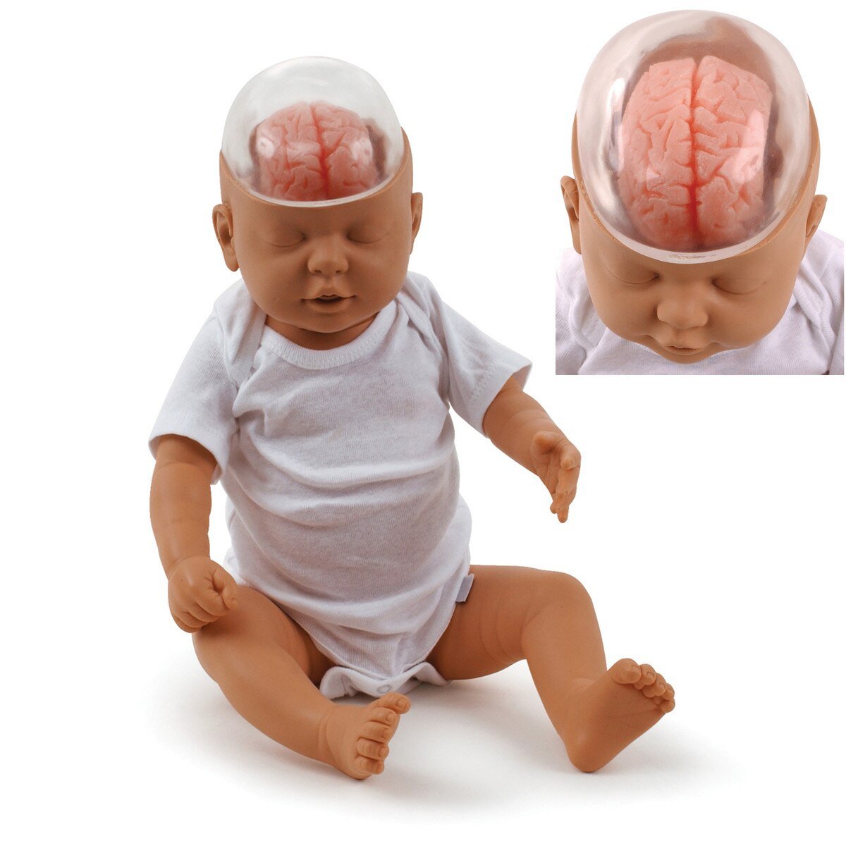 Shaken Baby Demonstration Model-Teaching Aids-Birth Supplies Canada