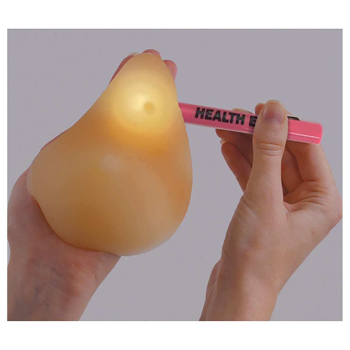 Standard BSE Model Kit (Beige & Brown)-Teaching Aids-Birth Supplies Canada