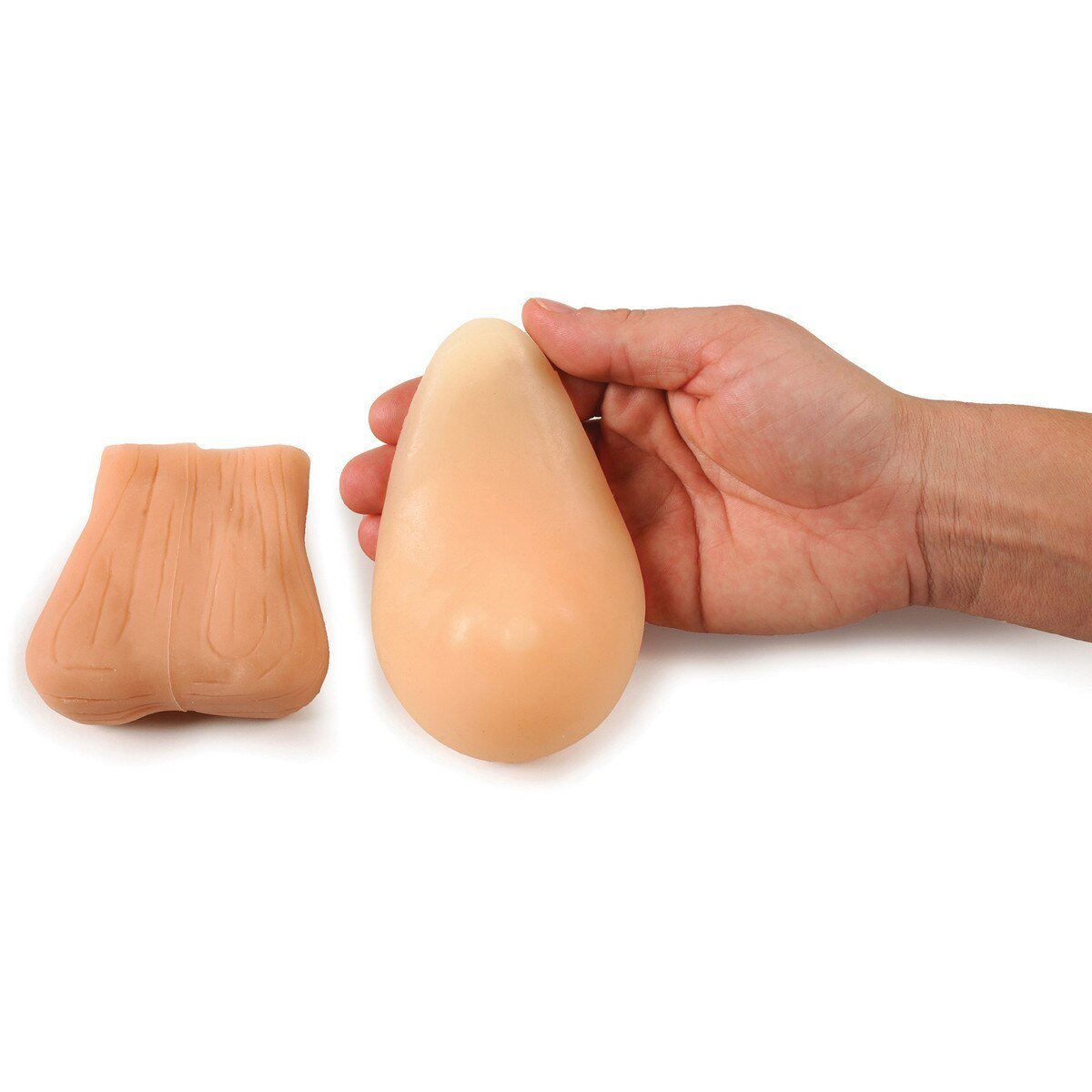 Teen BSE/TSE Model Kit | Breast & Testicular-Teaching Aids-Birth Supplies Canada