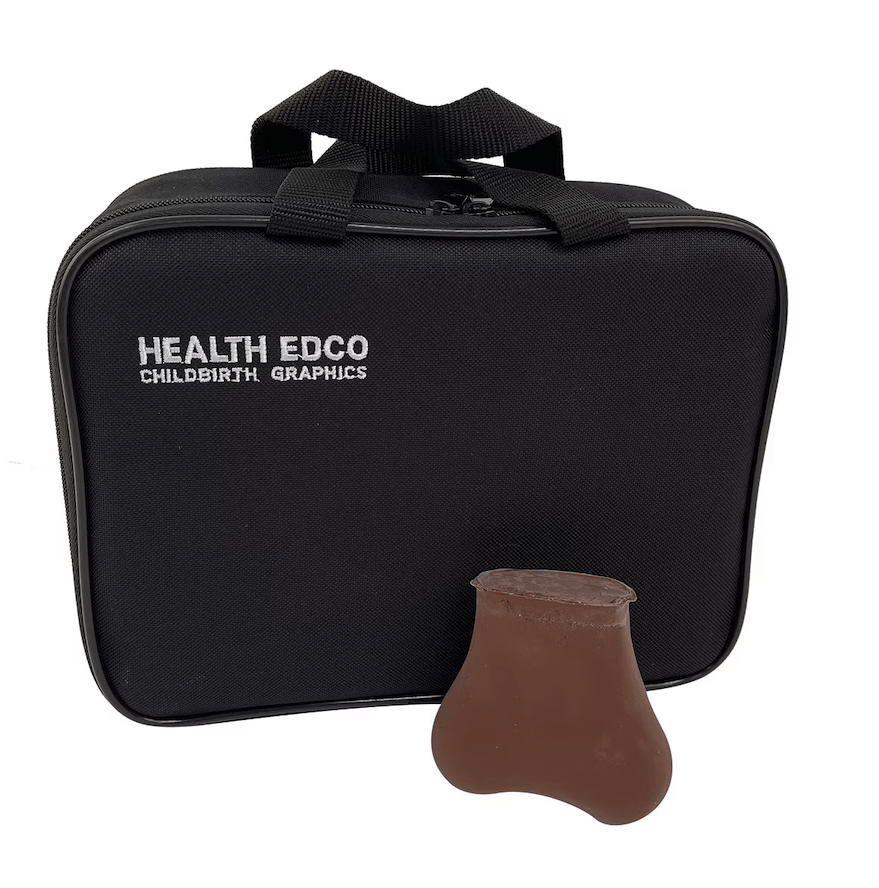 Testicular Self-exam Model-Teaching Aids-Birth Supplies Canada