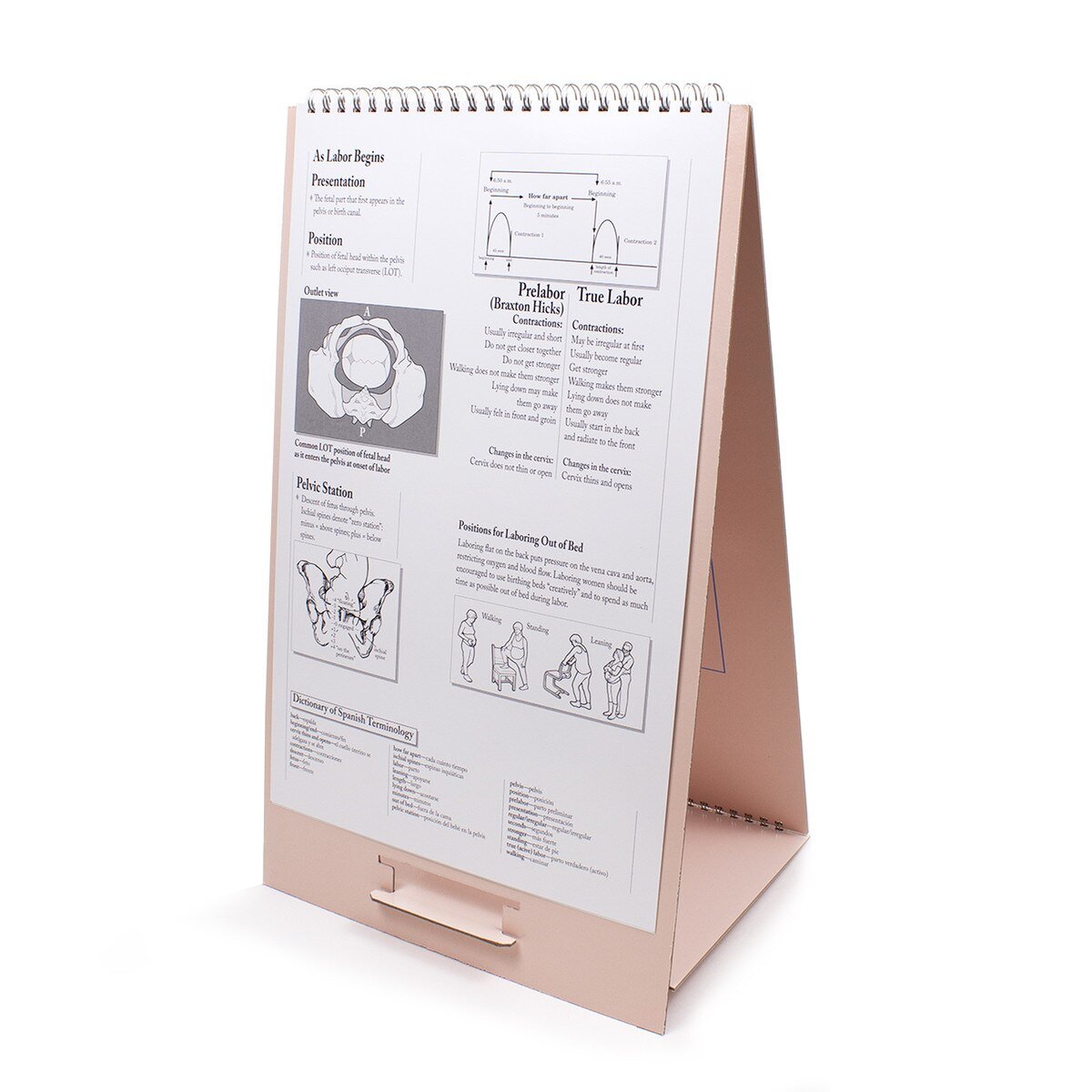 The Process of Giving Birth Flip Chart, English/Spanish-Teaching Aids-Birth Supplies Canada