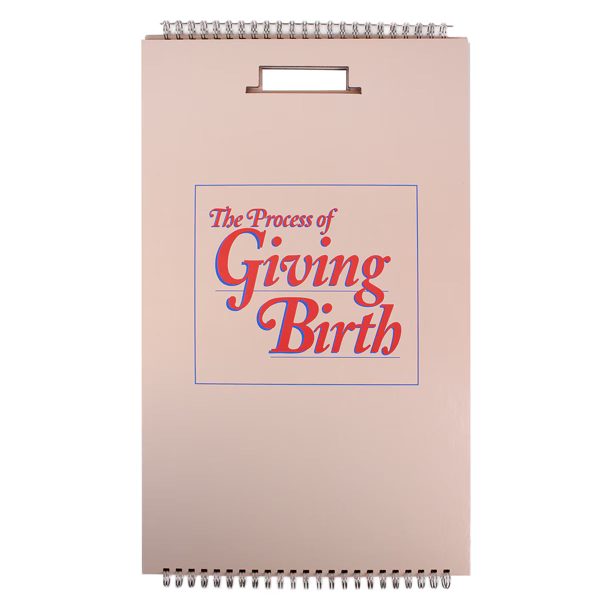The Process of Giving Birth Flip Chart, English/Spanish-Teaching Aids-Birth Supplies Canada