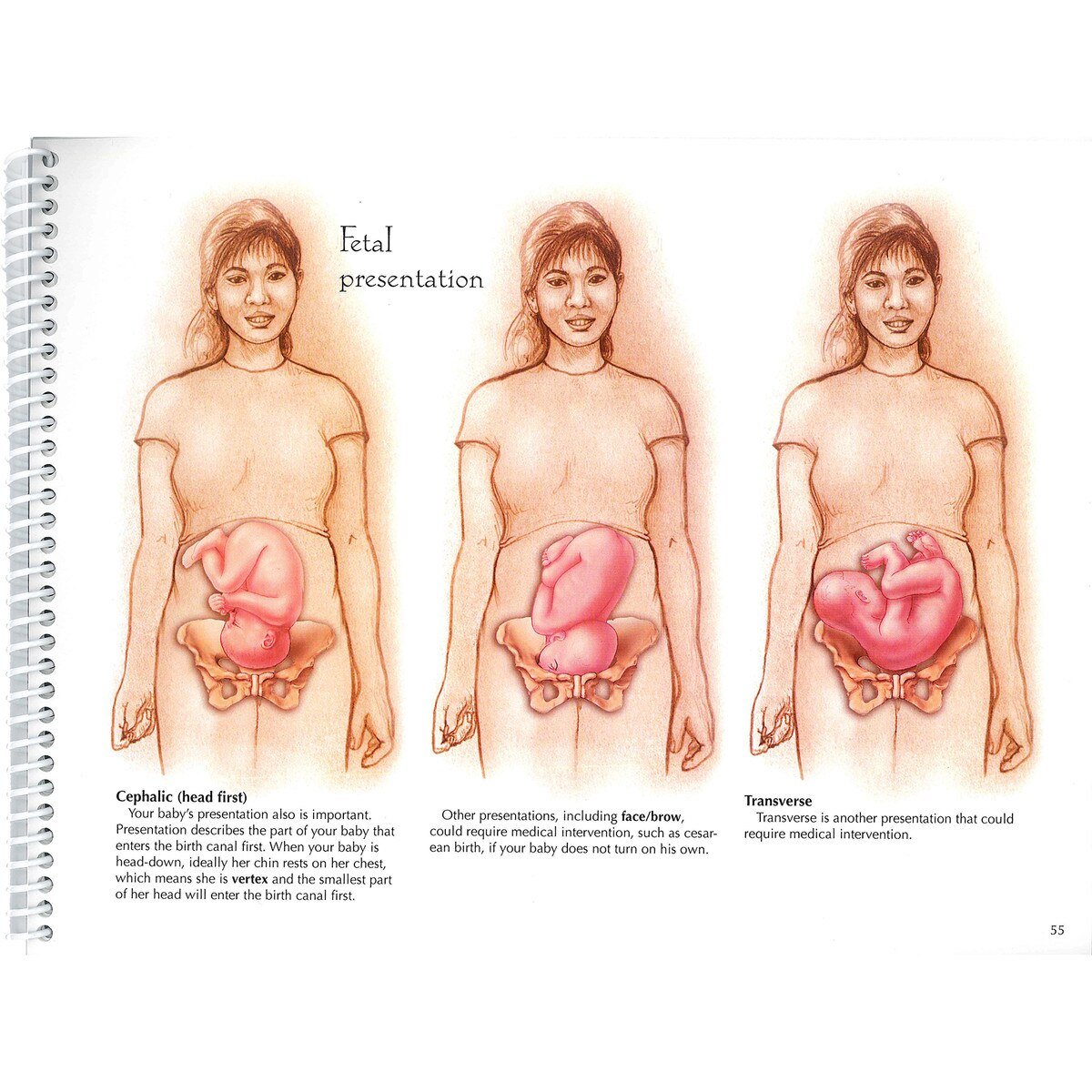 With Child™ Desk Version – 78-Page Prenatal Education Book-Teaching Aids-Birth Supplies Canada