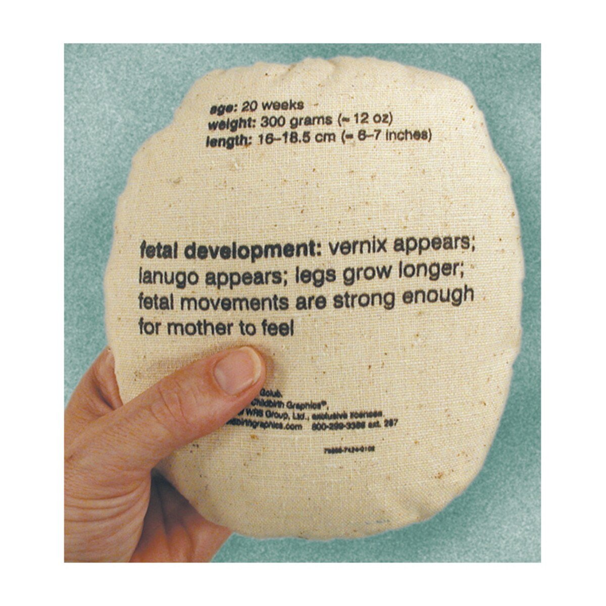 Womb to Grow™ Model Set (9) – Fetal Development Teaching Models-Teaching Aids-Birth Supplies Canada