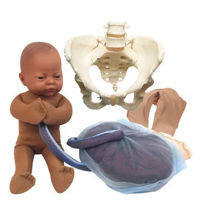 Labour & Delivery Teaching Aids - Birth Supplies Canada