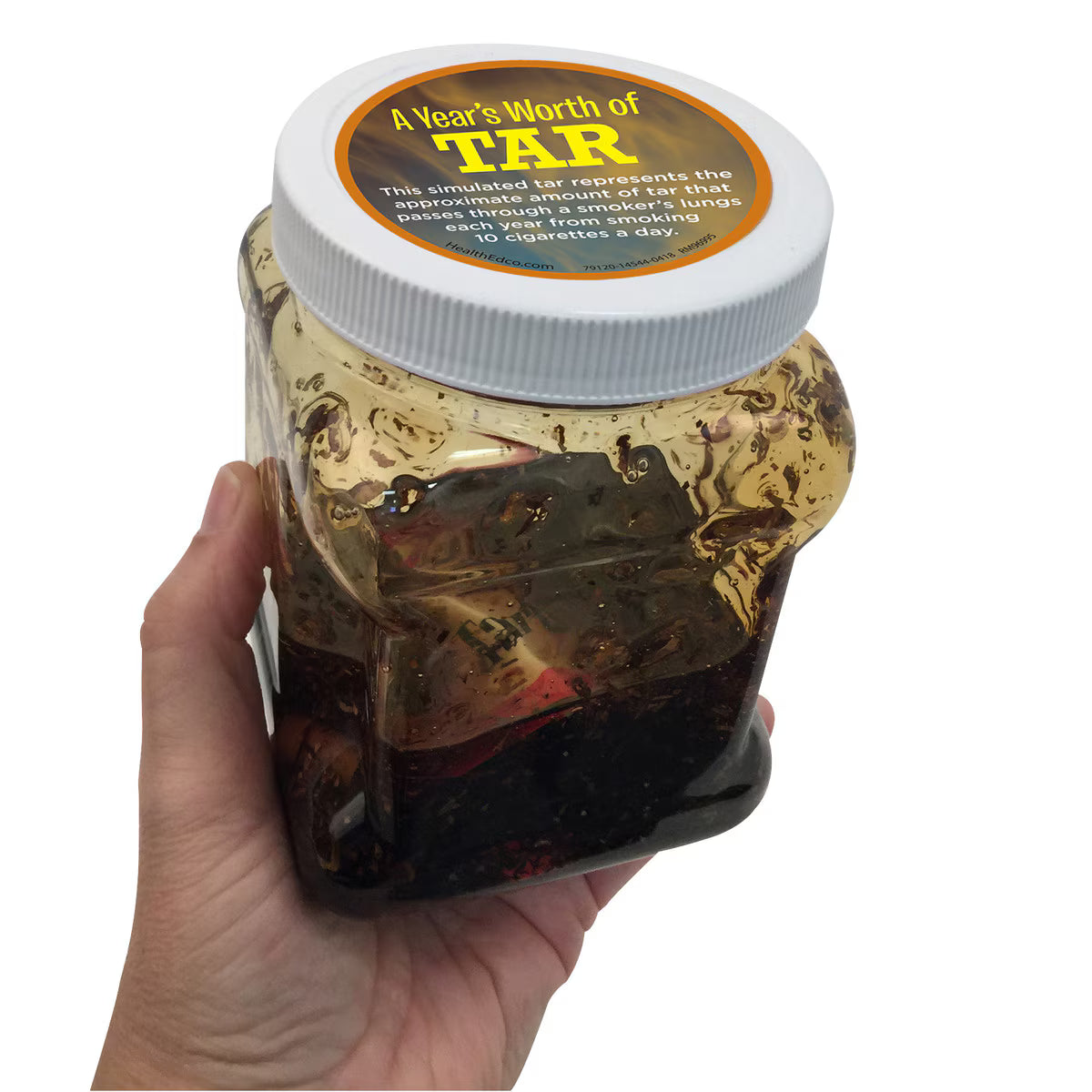 A Year's Worth of Tar Model-Teaching Aids-Birth Supplies Canada
