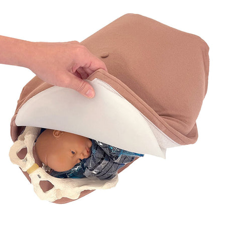3-D Obstetrical Abdominal Palpation Model for Leopold's Maneuvers Training-Teaching Aids-Birth Supplies Canada