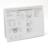 Childbearing: The Classic Series Desk Version Flip Chart