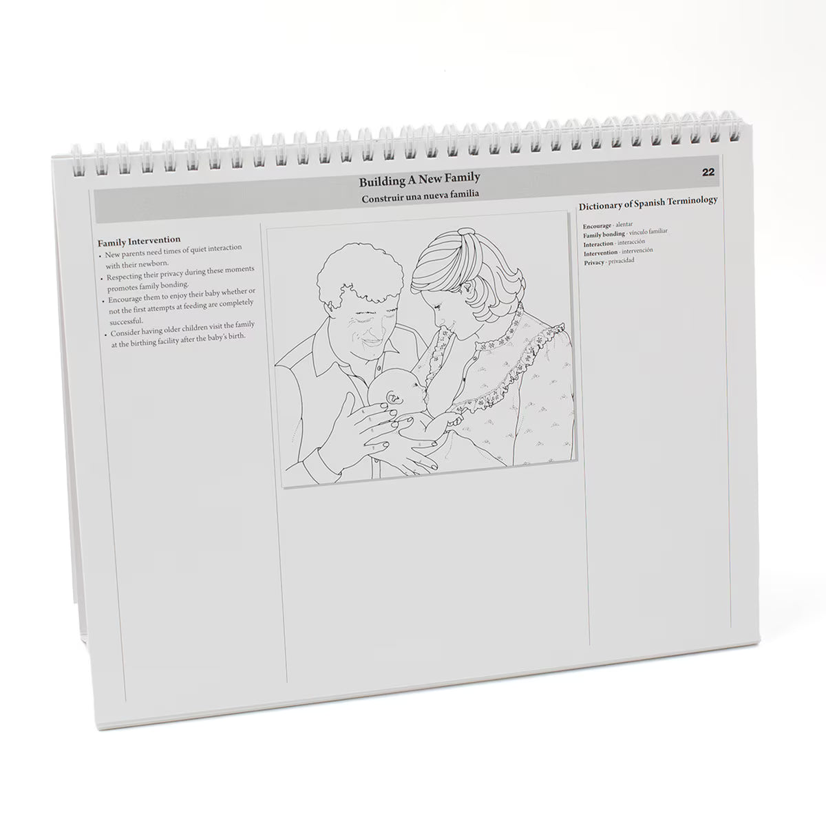 Childbearing: The Classic Series Desk Version Flip Chart