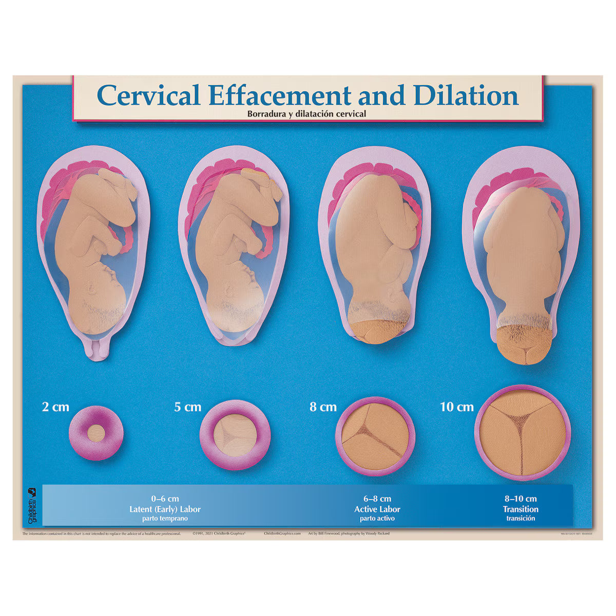 Six Essential Labor and Birth Charts (6), English/Spanish