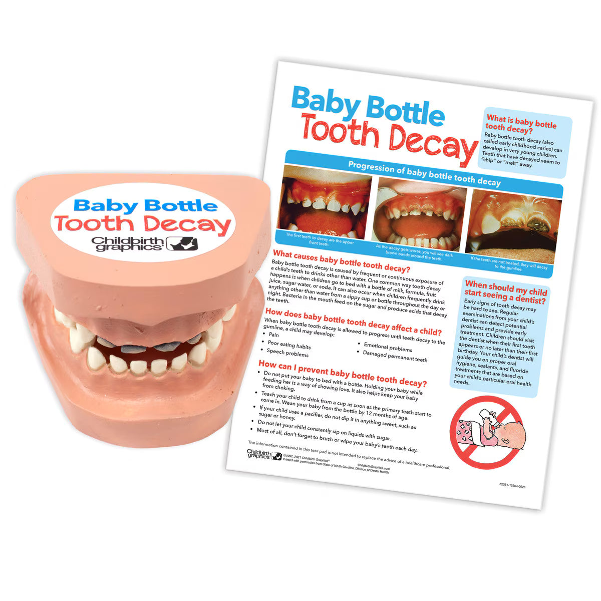 Baby Bottle Tooth Decay Model Set-Teaching Aids-Birth Supplies Canada