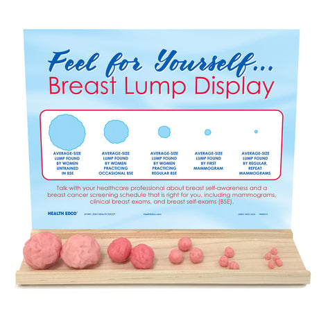 Breast Lump Palpation Display for Self-Exam and Screening Awareness-Teaching Aids-Birth Supplies Canada