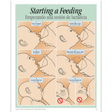 Breastfeeding Basics Spiral-bound Charts, English/Spanish-Birth Supplies Canada