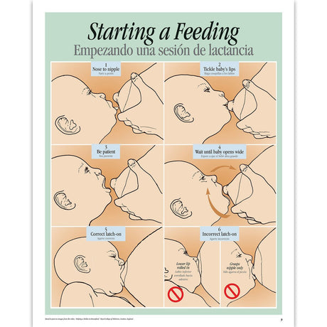 Breastfeeding Basics Spiral-bound Charts, English/Spanish-Birth Supplies Canada