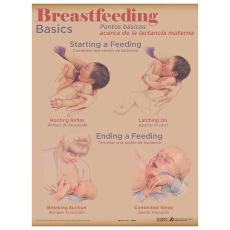 Breastfeeding Chart Set (8)-Teaching Aids-Birth Supplies Canada