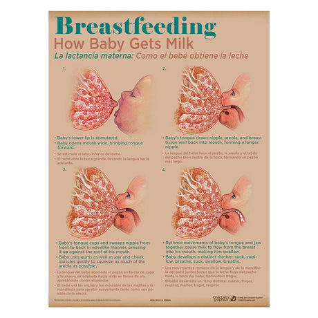 Breastfeeding Chart Set (8)-Teaching Aids-Birth Supplies Canada