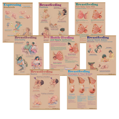 Breastfeeding Chart Set (8)-Teaching Aids-Birth Supplies Canada