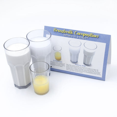 Breastmilk Composition: What's In A Day?™ Display-Birth Supplies Canada