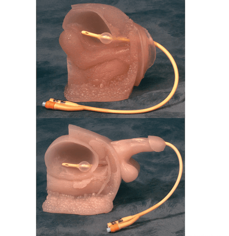 Catheter Model Set-Teaching Aids-Birth Supplies Canada