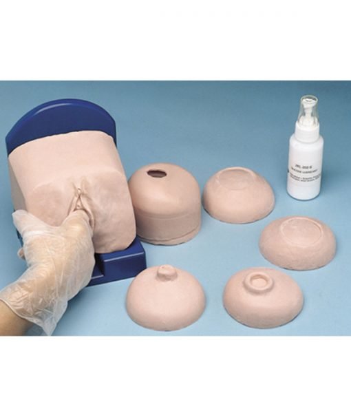 Cervix Examination Set-Teaching Aids-Birth Supplies Canada