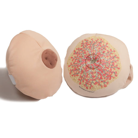 Cloth Breast Model-Teaching Aids-Birth Supplies Canada