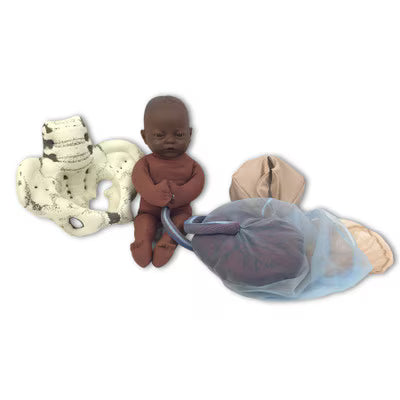 Cloth Pelvic Model Set With Fetal Model-Teaching Aids-Birth Supplies Canada
